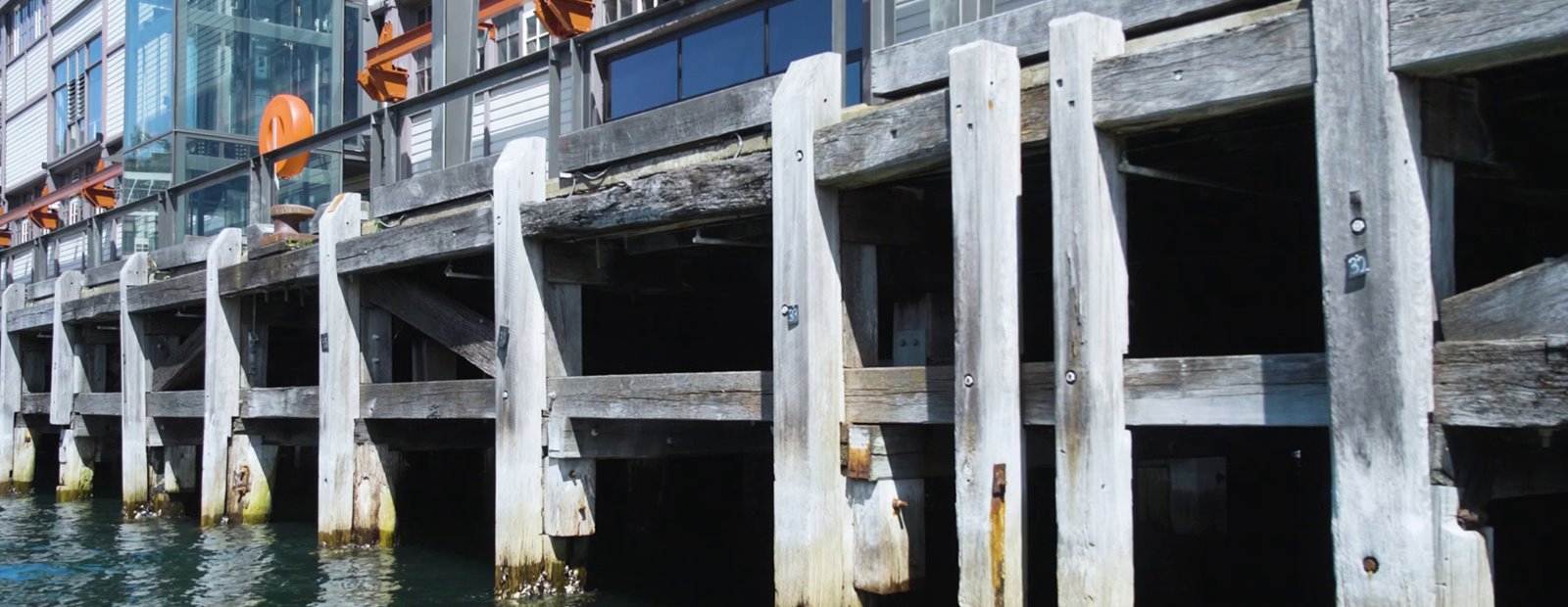 New Video Series Lifts the Lid on How NSW Hardwood Timber Is Produced, Used and Recycled