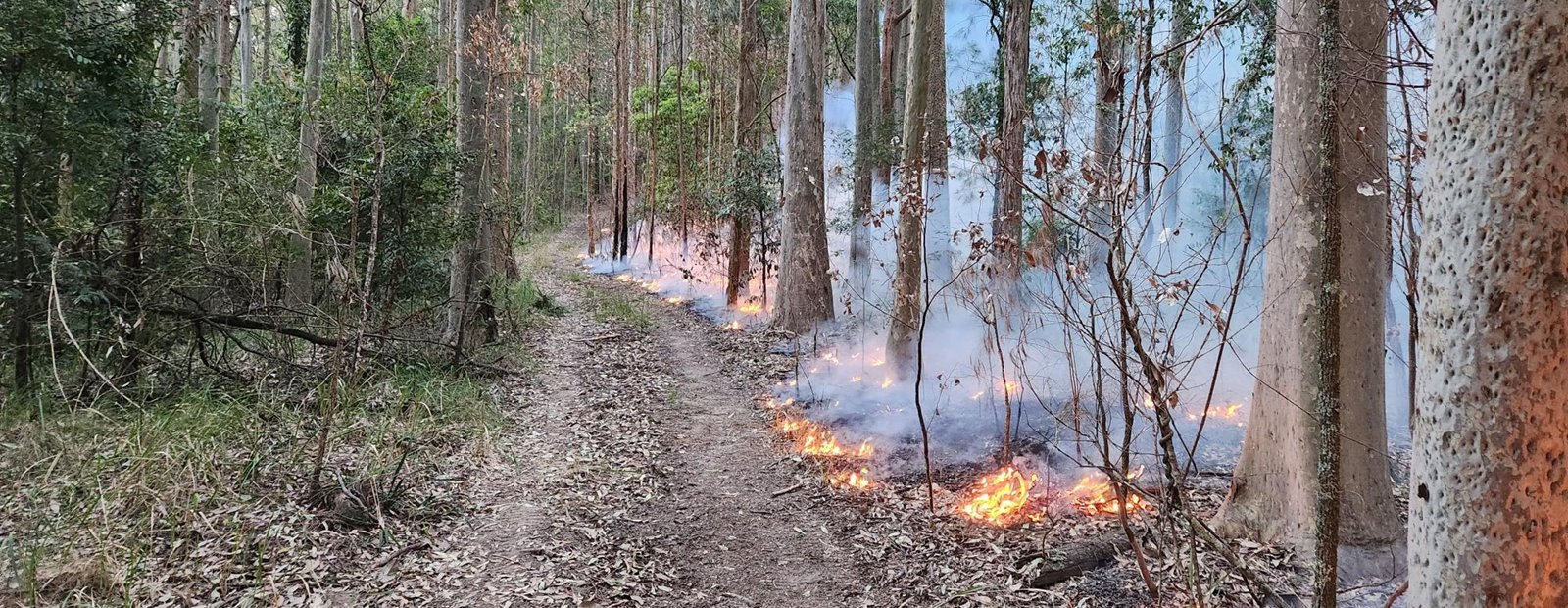 Identifying and overcoming legal barriers to cultural burning