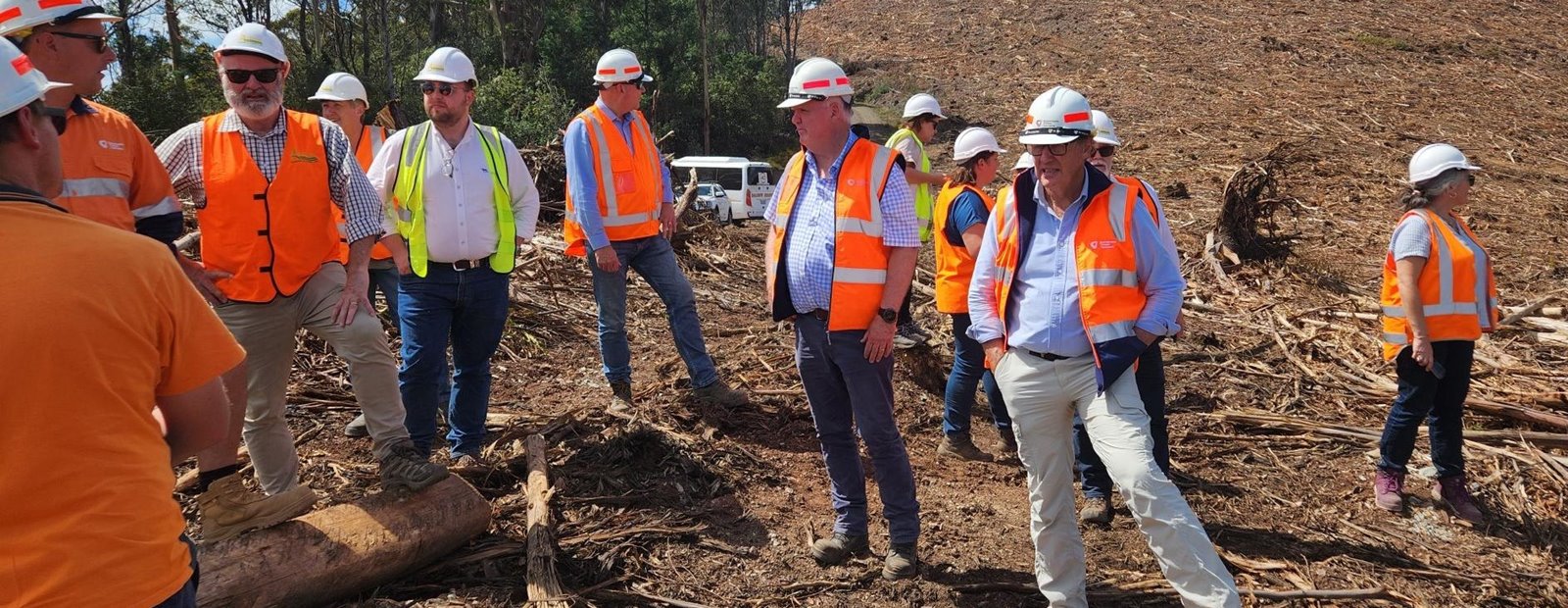 A review of the regulatory frameworks for private forestry in NSW