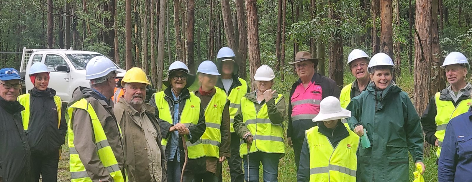 Identifying ways to make private native forestry future fit - Qualitative Report
